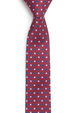 Load image into Gallery viewer, Delaware missionary tie