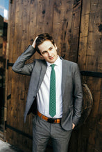 Load image into Gallery viewer, Dublin missionary tie