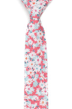Load image into Gallery viewer, Holland missionary tie